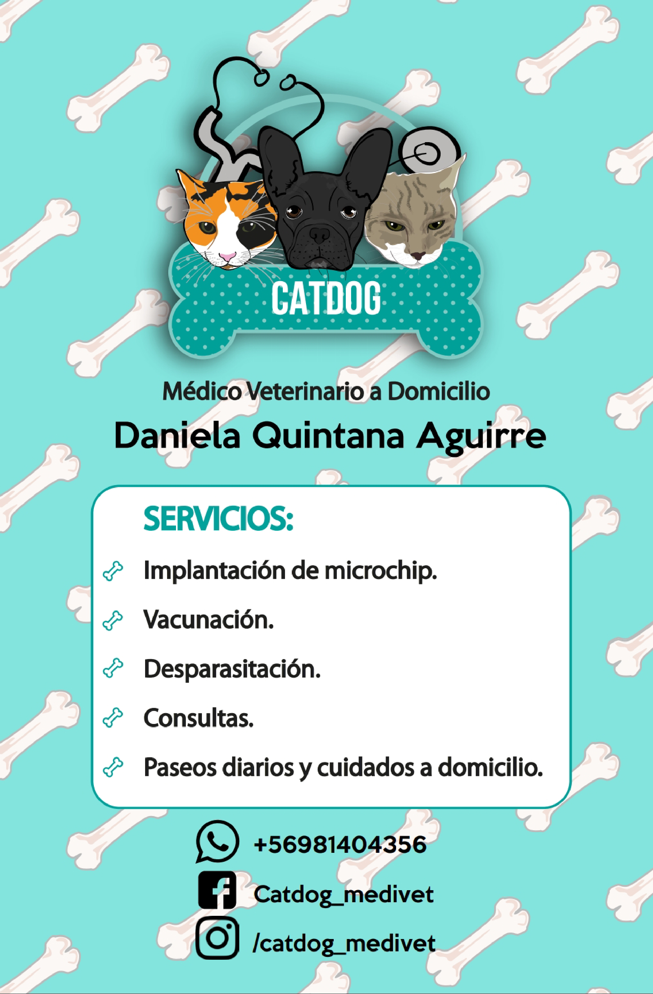 Medico Veterinario a Domicilio
